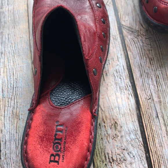 Born Majesty Mule - Picture 2 of 8